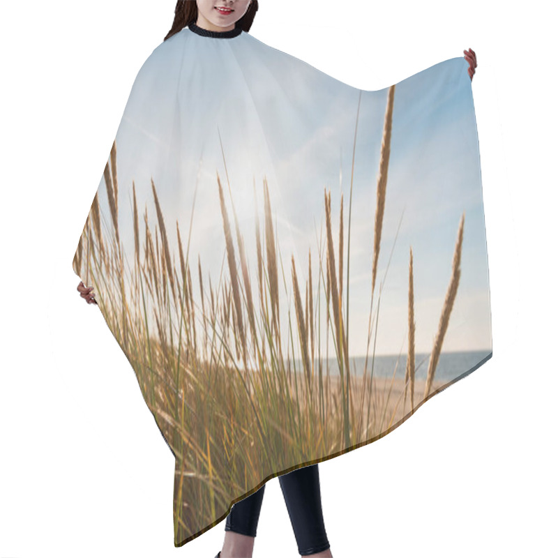 Personality  Sunbeams Sweep The Dunes On The Baltic Sea At Sunset. Hair Cutting Cape