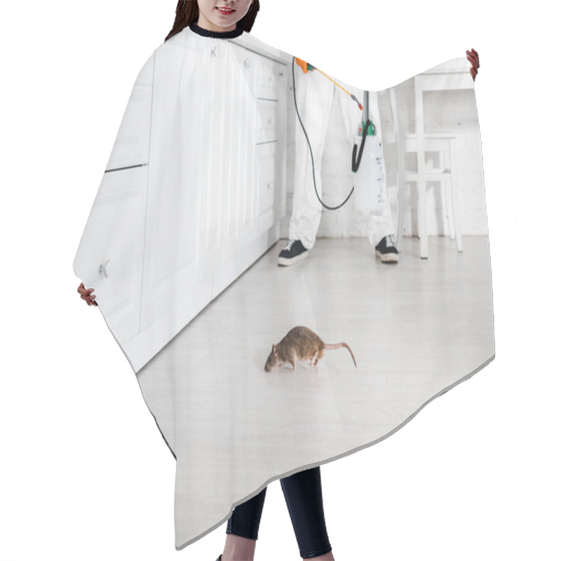 Personality  Cropped View Of Exterminator With Toxic Spray In Hand Standing Near Rat On Floor  Hair Cutting Cape