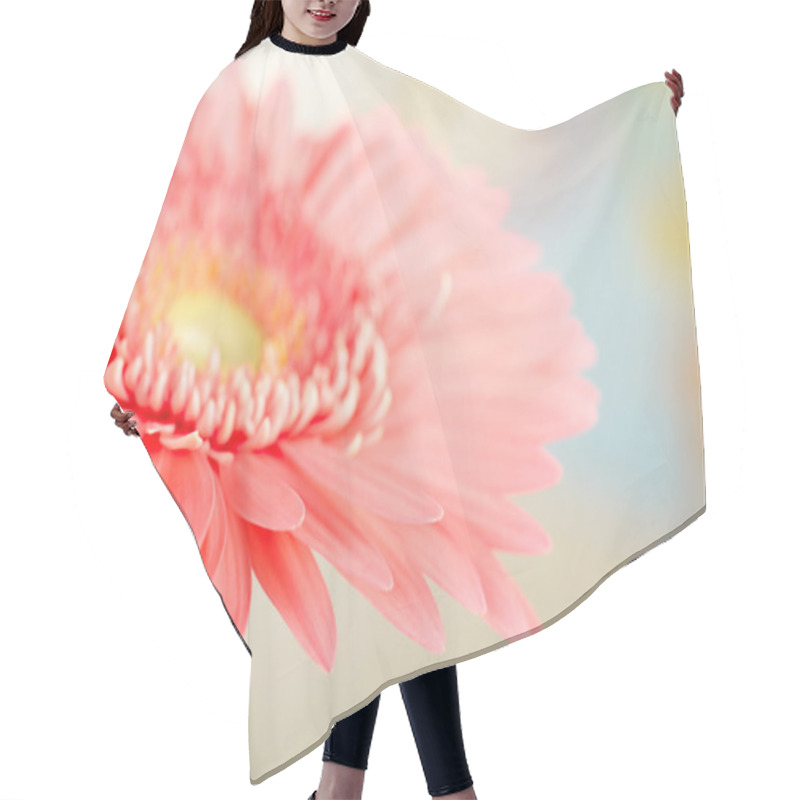 Personality  Closeup Photo Of Pink Daisy-gerbera Hair Cutting Cape