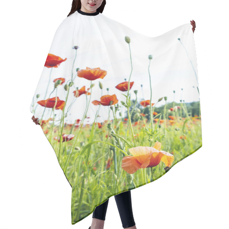 Personality  Field Of Common Poppy, Seasonal Natural Scene Hair Cutting Cape