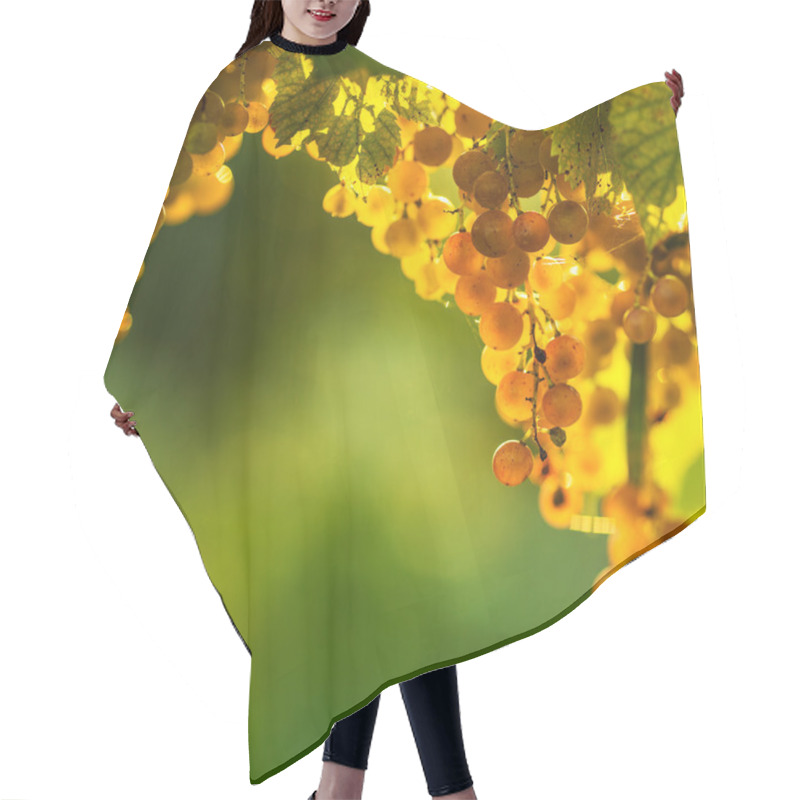 Personality  Ripe Grapes On Vine Hair Cutting Cape