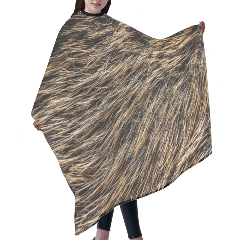 Personality  A Closeup Of Wild Boar Fur Texture Background.  Hair Cutting Cape