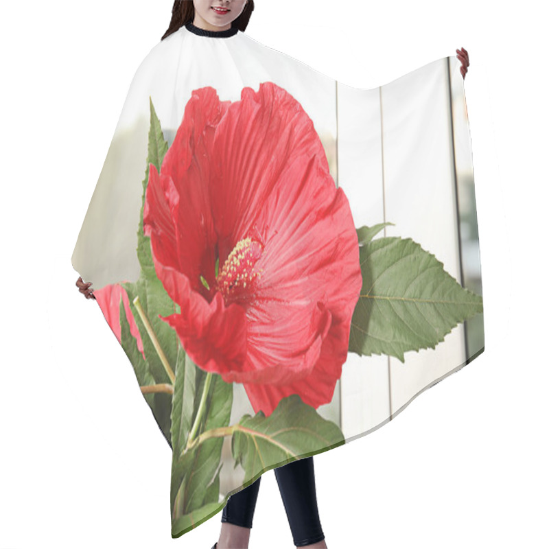 Personality  Beautiful Red Hibiscus Flower Near Window Indoors Hair Cutting Cape