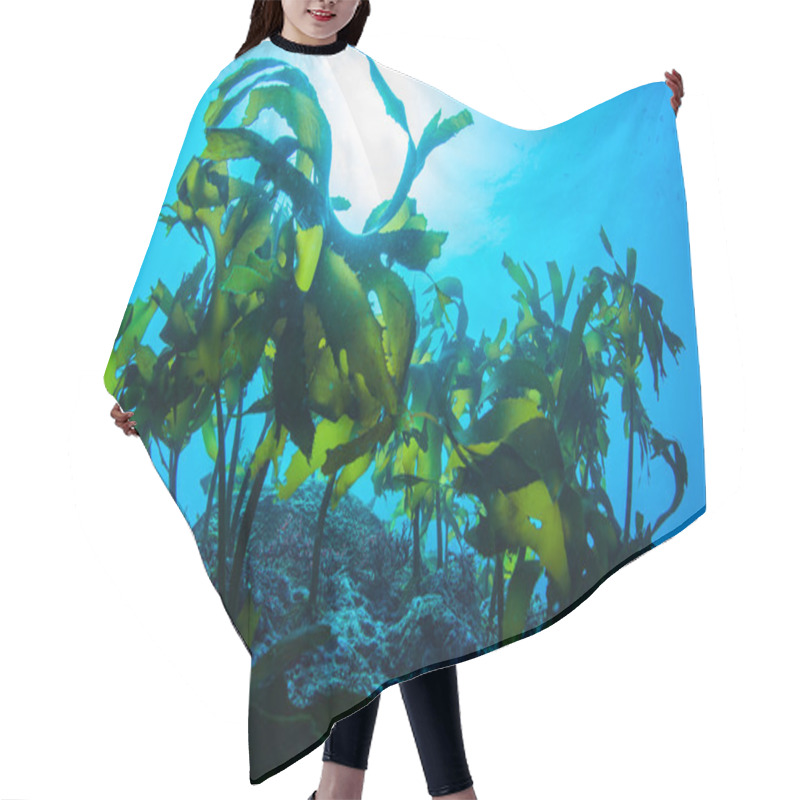 Personality  Forest Of Seaweed Hair Cutting Cape