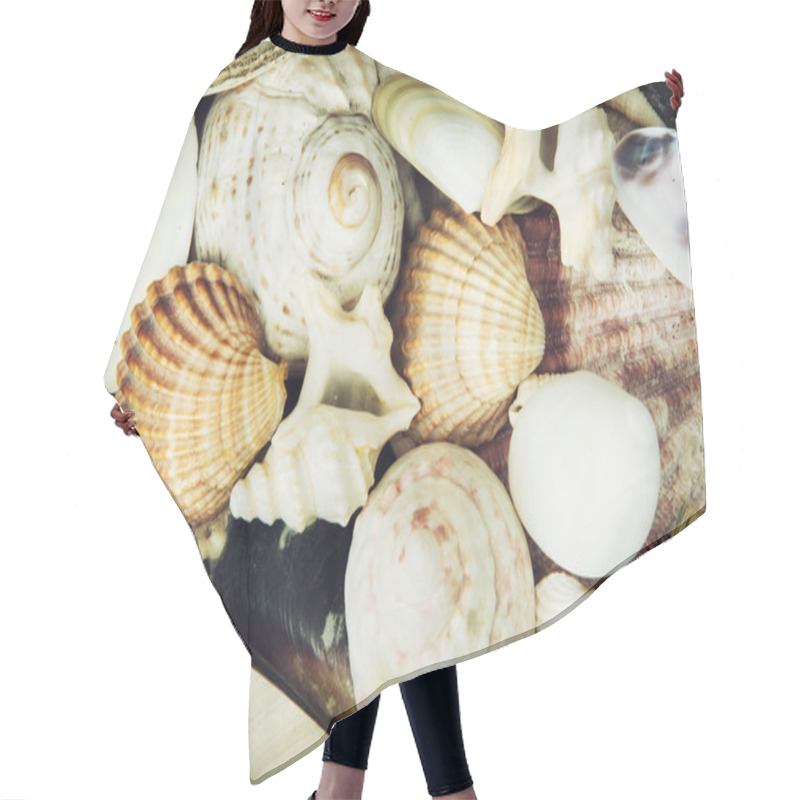 Personality  Background Of Various Sea Shells Hair Cutting Cape