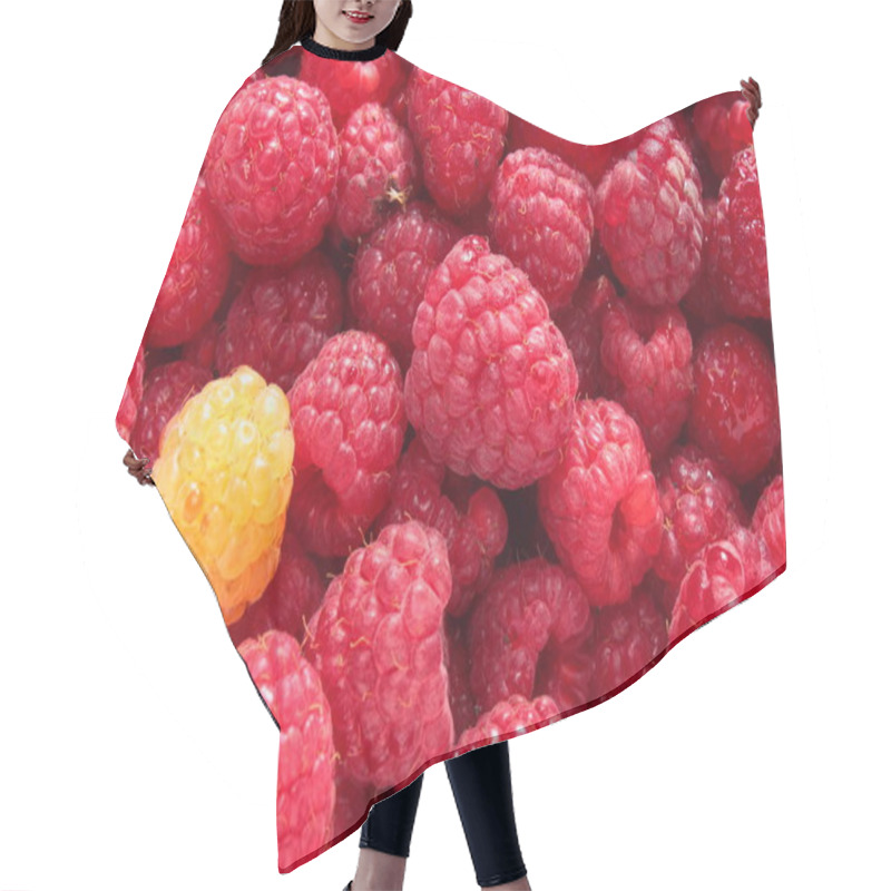 Personality  Fruit Dessert Hair Cutting Cape