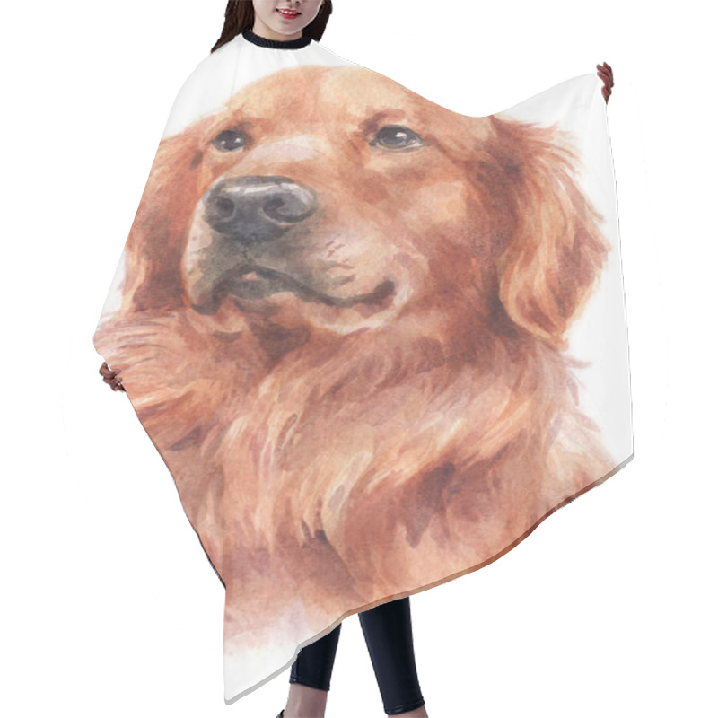 Personality  Water Colour Painting Of Golden Retriever Hair Cutting Cape