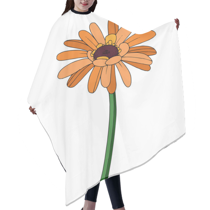 Personality  Vector Gerbera Floral Botanical Flower. Black And White Engraved Hair Cutting Cape