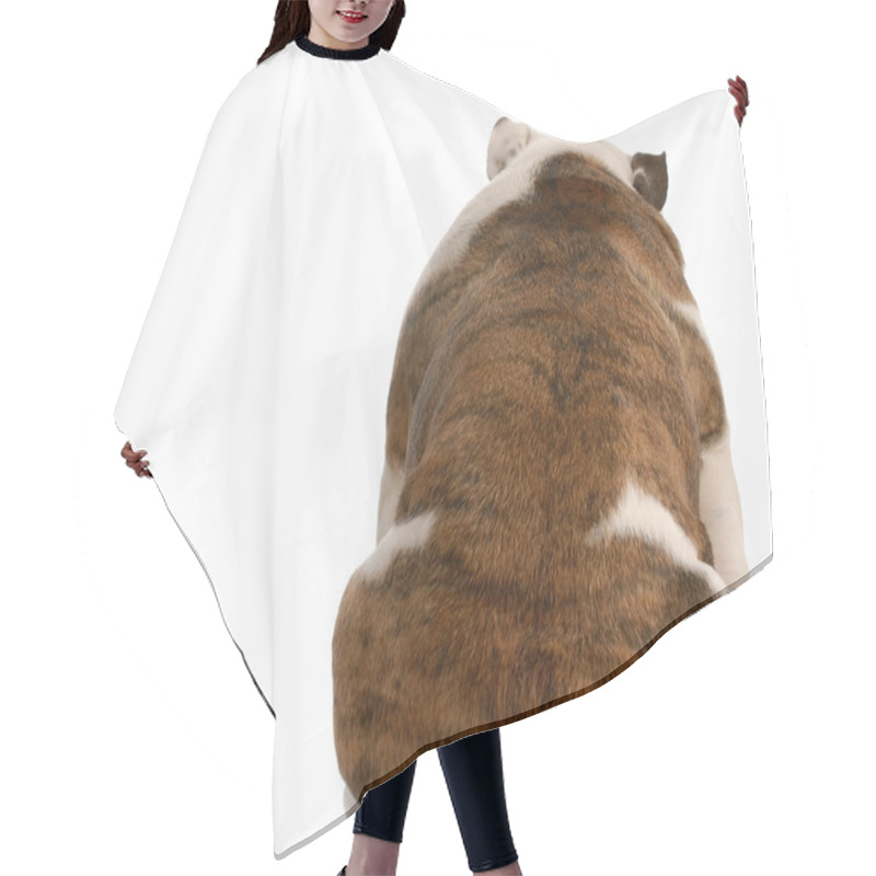 Personality  English Bulldog Hair Cutting Cape