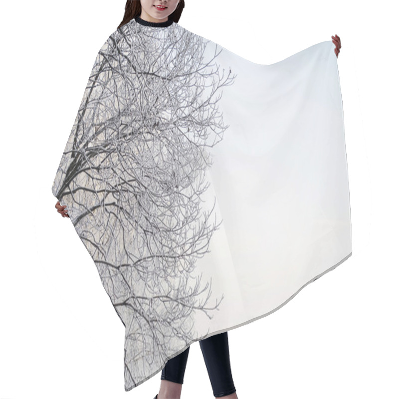 Personality  Hoary Tree Branches Hair Cutting Cape