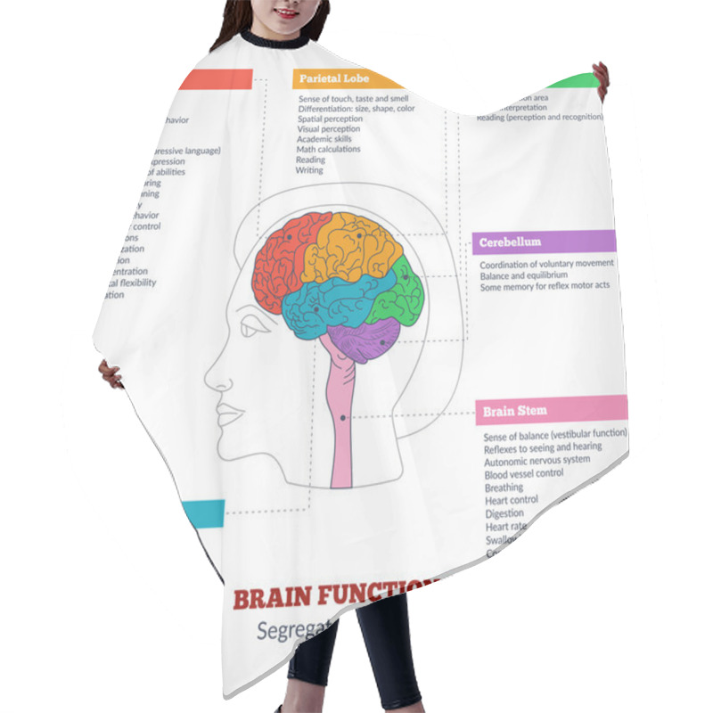 Personality  Human Brain Anatomy And Functions Hair Cutting Cape