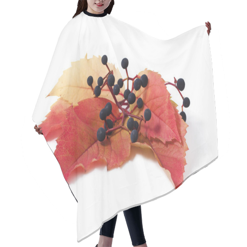 Personality  Parthenocissus Hair Cutting Cape