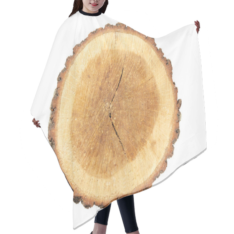 Personality  Wooden Stump Isolated On White. Hair Cutting Cape