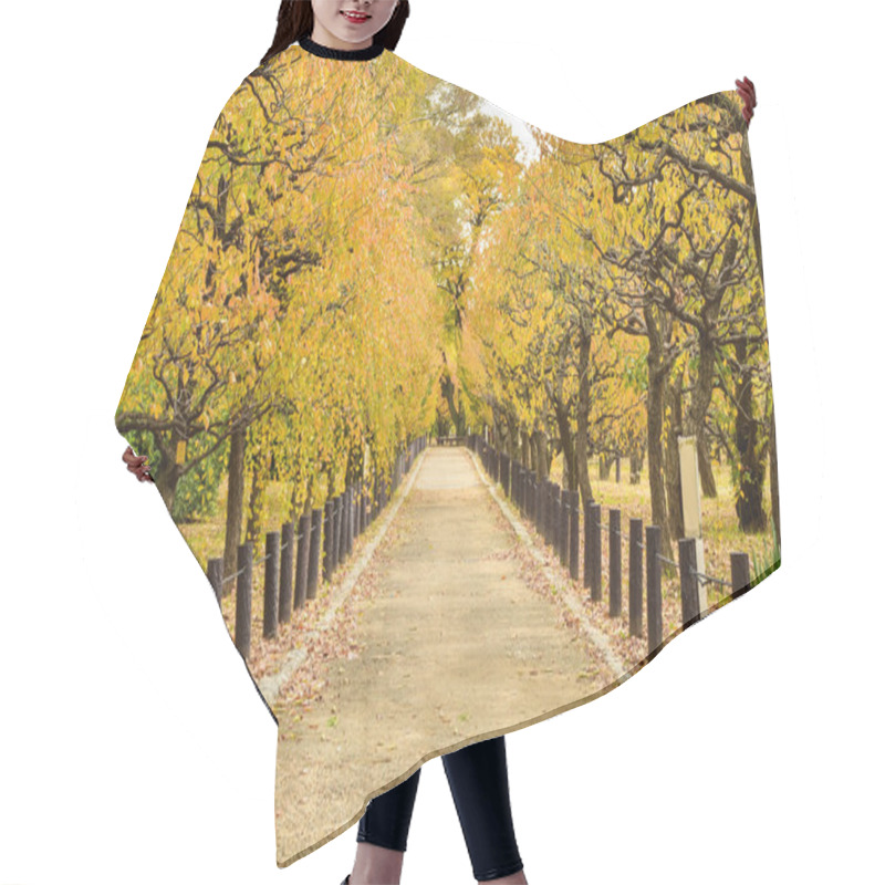 Personality  Beautiful Autumn Pathway In The Park Hair Cutting Cape