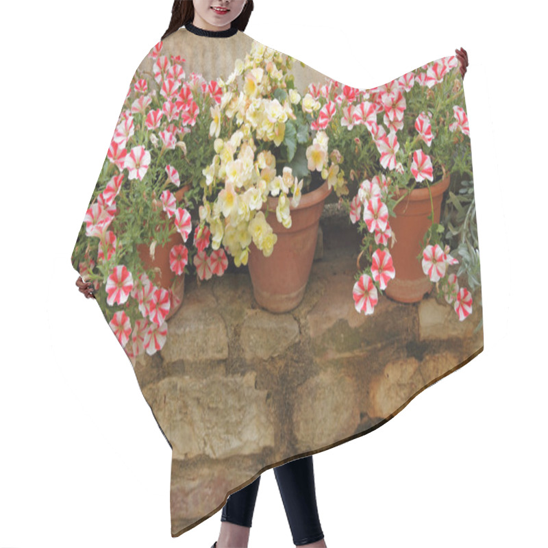 Personality  Flowers In Pots On Low Brick Wall Hair Cutting Cape