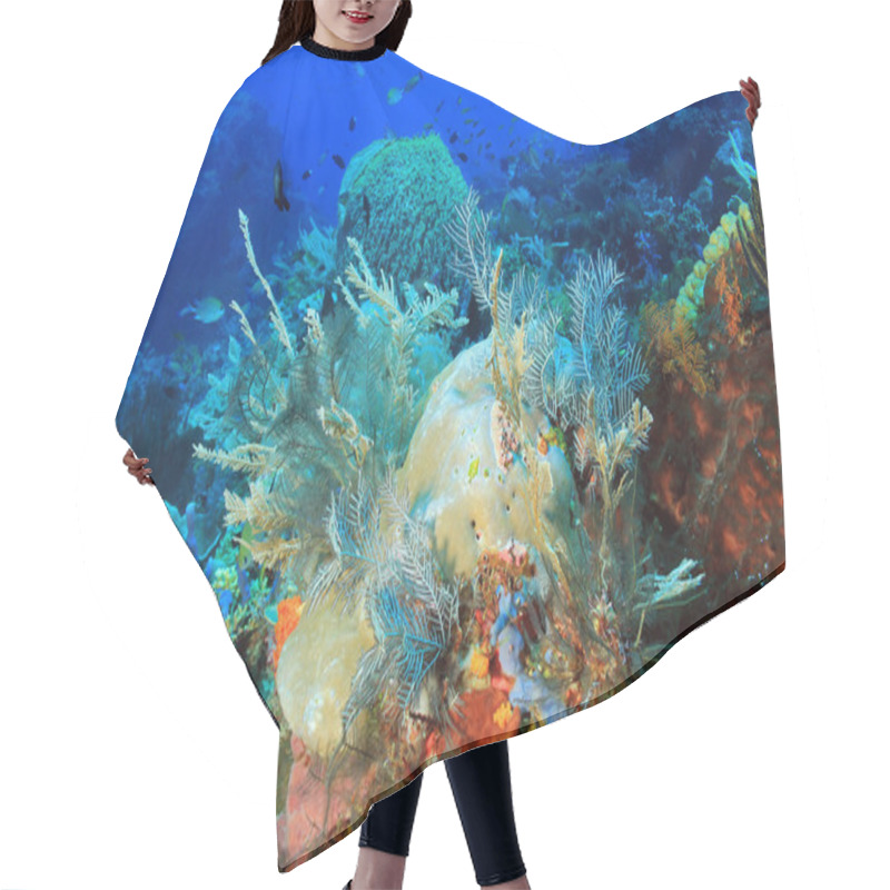 Personality  Komodo Coral Reef Hair Cutting Cape