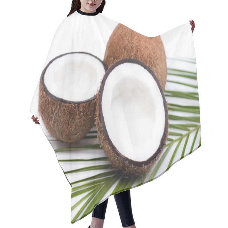 Personality  Organic Ripe Coconuts  Hair Cutting Cape