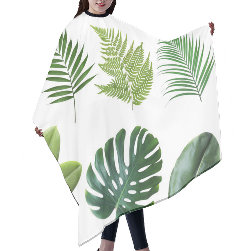 Personality  Set With Beautiful Fern And Other Tropical Leaves On White Background  Hair Cutting Cape