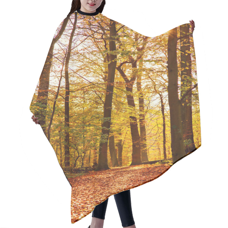 Personality  Colourful Forest Path Hair Cutting Cape