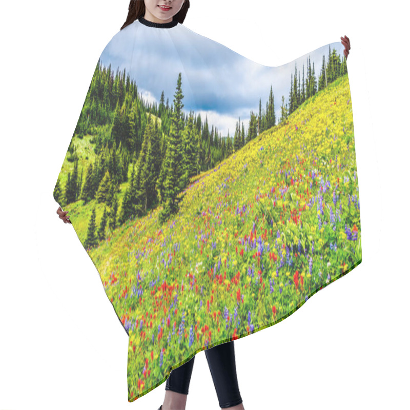 Personality  Hiking Through The Alpine Meadows Filled With Abundant Wildflowers. On Tod Mountain At The Alpine Village Of Sun Peaks In The Shuswap Highlands Of The Okanagen Region In British Columbia, Canada Hair Cutting Cape