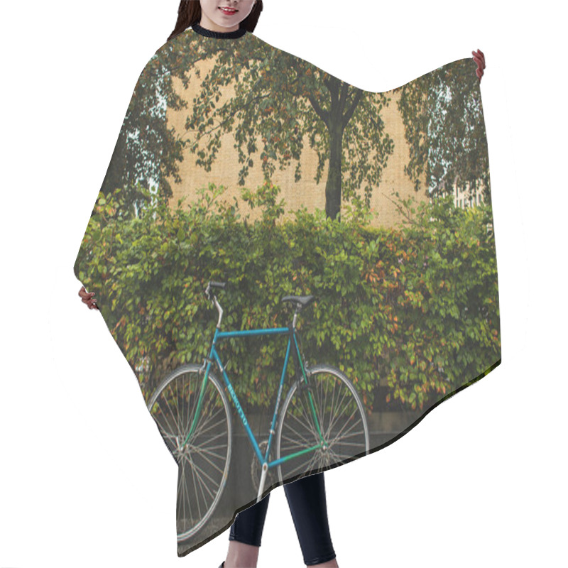 Personality  Blue Bicycle Near Green Bushes And Trees On Urban Street  Hair Cutting Cape