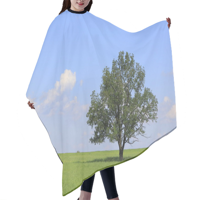 Personality  Fresh Green Field Of Juvenile Grain And Tree Hair Cutting Cape