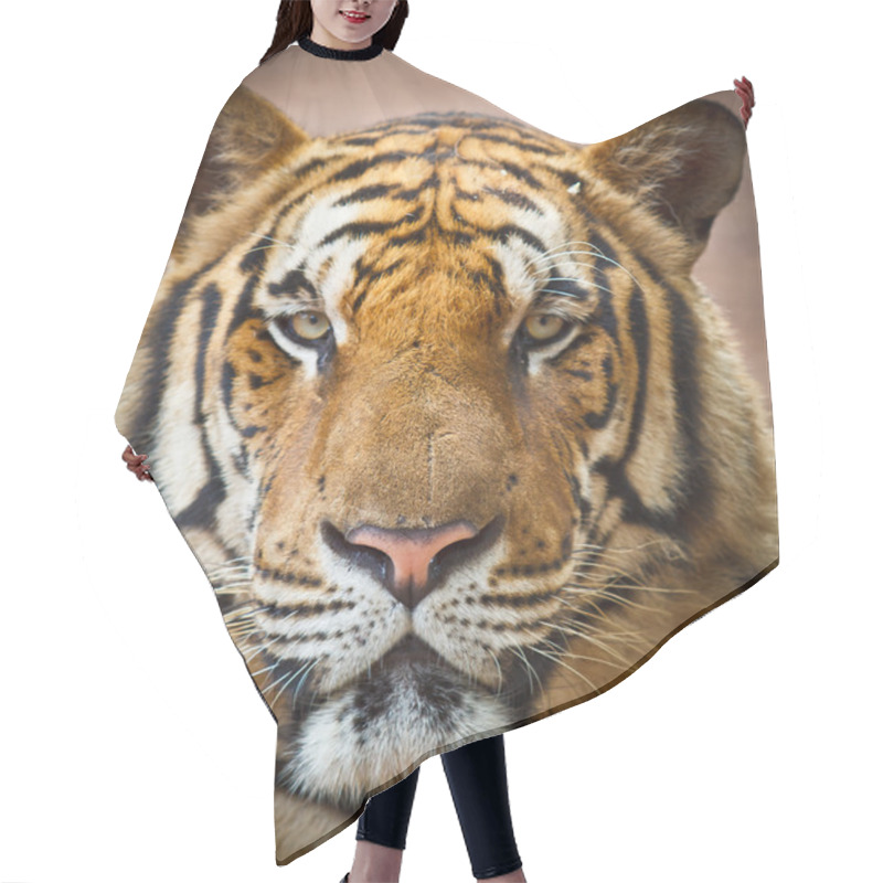 Personality  Tiger Wild Animal Hair Cutting Cape