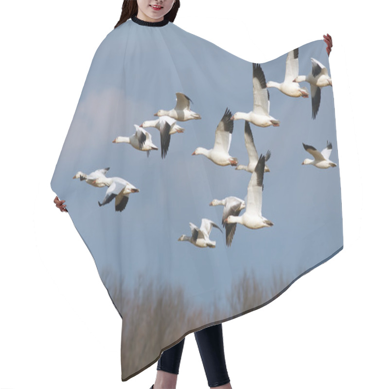 Personality  Snow Geese In Flight Hair Cutting Cape