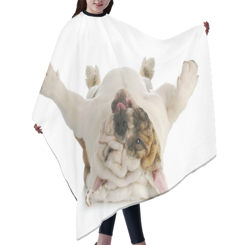 Personality  Dog Upside Down Hair Cutting Cape