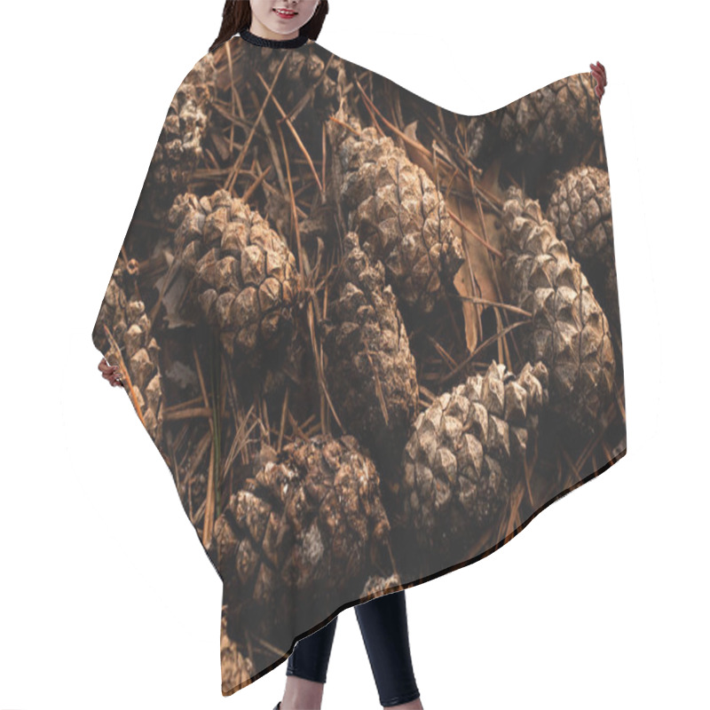 Personality  Pine Cones Scattered On A Forest Floor Covered With Fallen Pine Needles. A Natural Woodland Scene With Earthy Tones, Organic Textures, And A Tranquil Atmosphere, Capturing The Beauty Of Nature's Details. Hair Cutting Cape