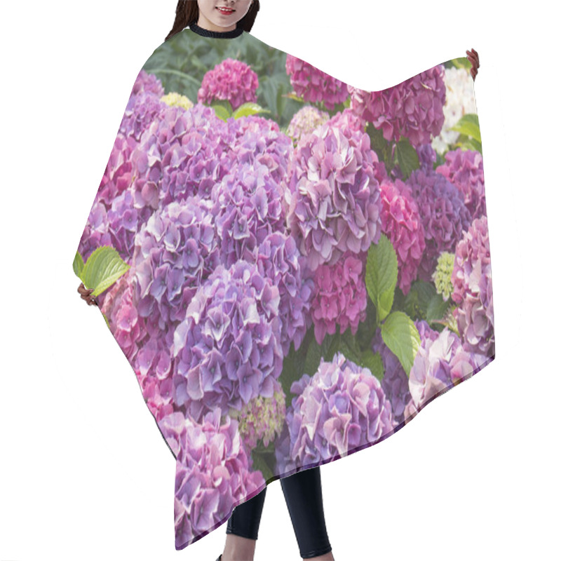 Personality  Pink Hydrangea Flowers Blooming In Summer Hair Cutting Cape