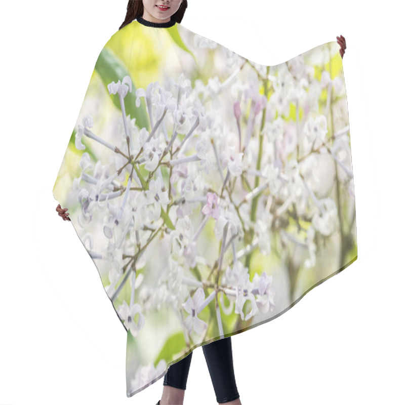 Personality  Blossoming Syringa Lilac Bush, Natural Scene Hair Cutting Cape