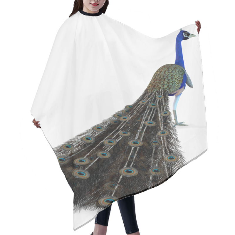 Personality  Peacock Profile Hair Cutting Cape