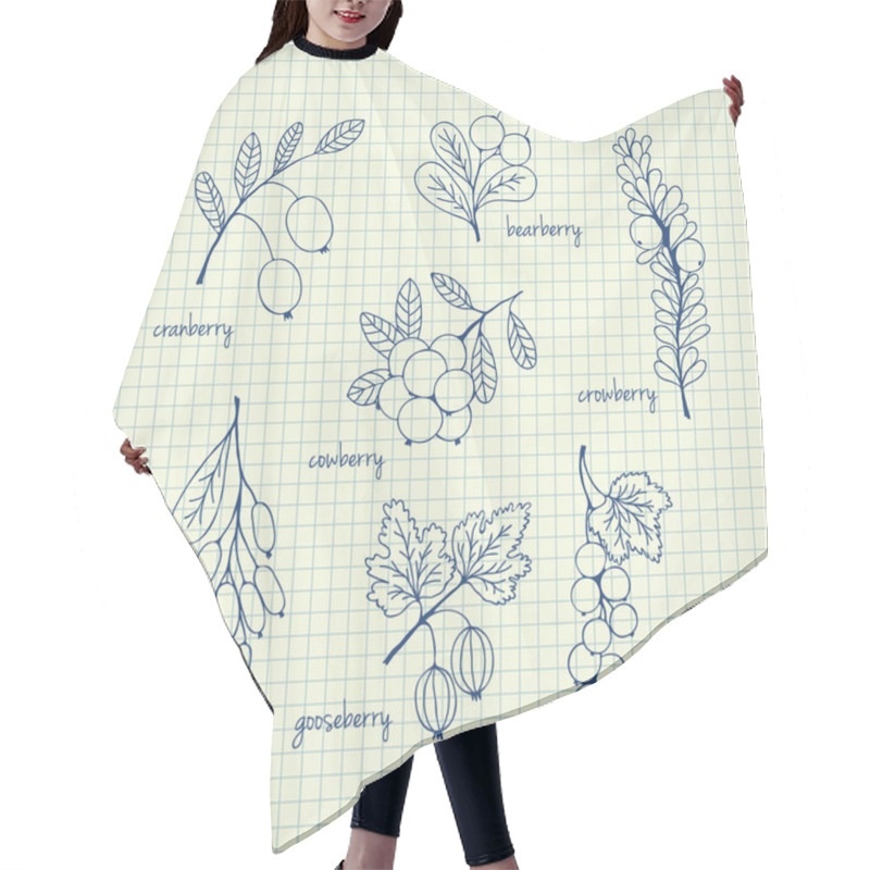 Personality  Set Of Garden And Wild Hand-drawn Sketch Berries Hair Cutting Cape