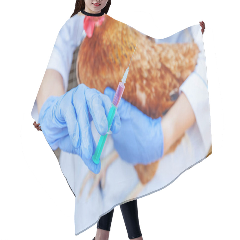 Personality  Veterinarian Woman With Syringe Holding And Injecting Chicken On Ranch Background. Hen In Vet Hands For Vaccination In Natural Eco Farm. Animal Care And Ecological Farming Concept Hair Cutting Cape