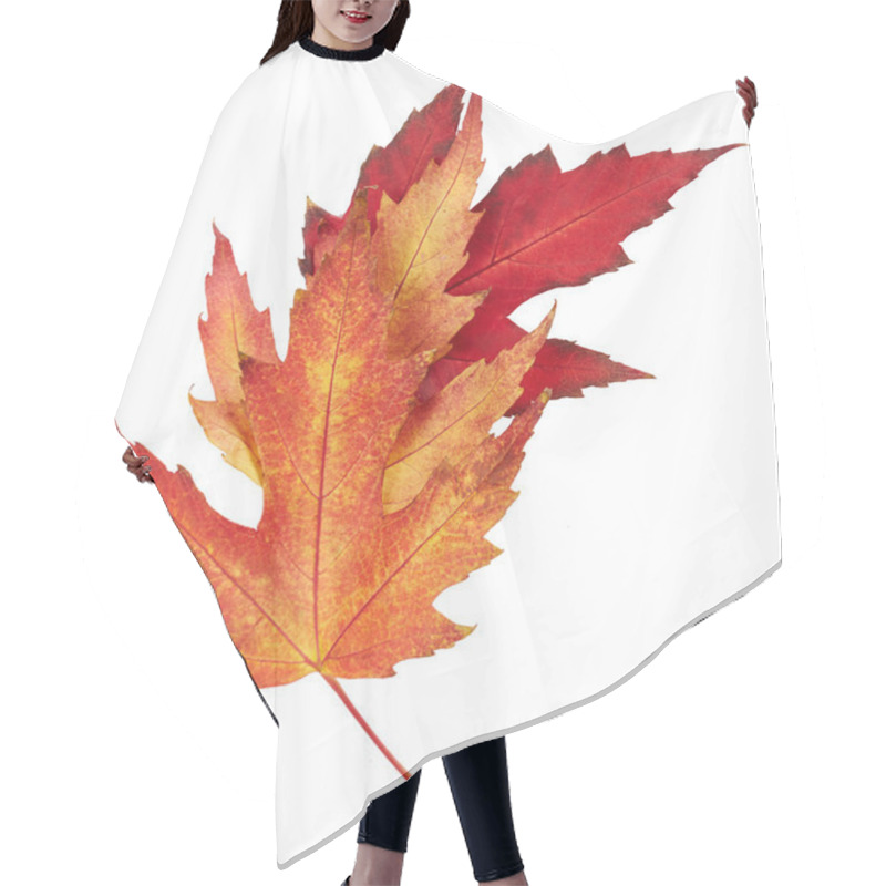 Personality  Maple Autumn Leaves Hair Cutting Cape