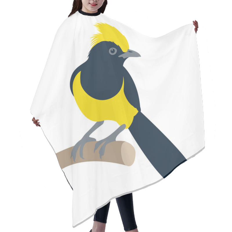 Personality  Sultan Tit Bird Vector Illustration Flat Style  Hair Cutting Cape