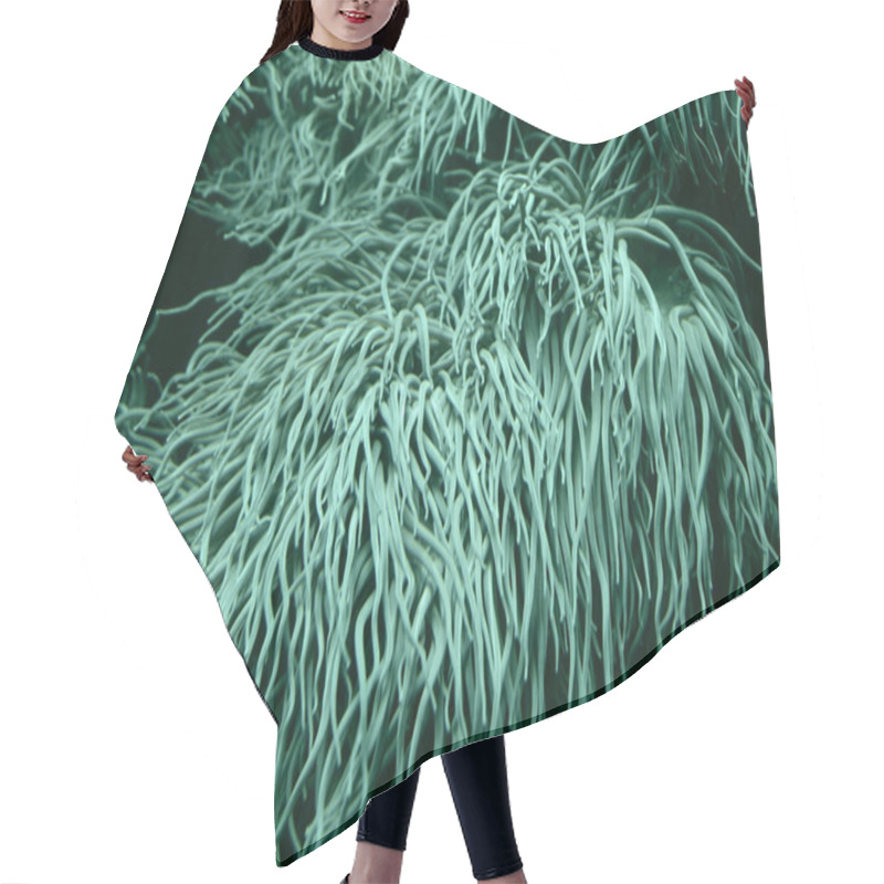 Personality  Sea Anemone Tentacles Hair Cutting Cape