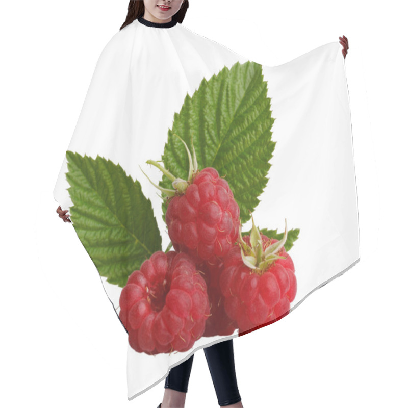 Personality  Raspberries Hair Cutting Cape