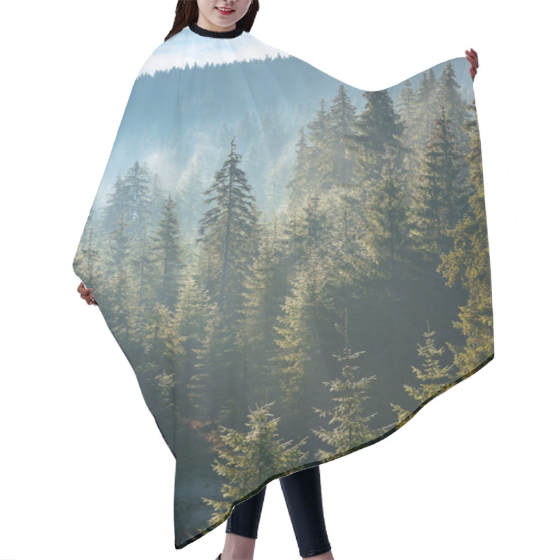 Personality  Coniferous Forest At Foggy Sunrise. Trees At The Foot Of A Hill In Morning Light. Blue Sky With Fluffy Clouds. Idyllic Countryside Scenery Hair Cutting Cape