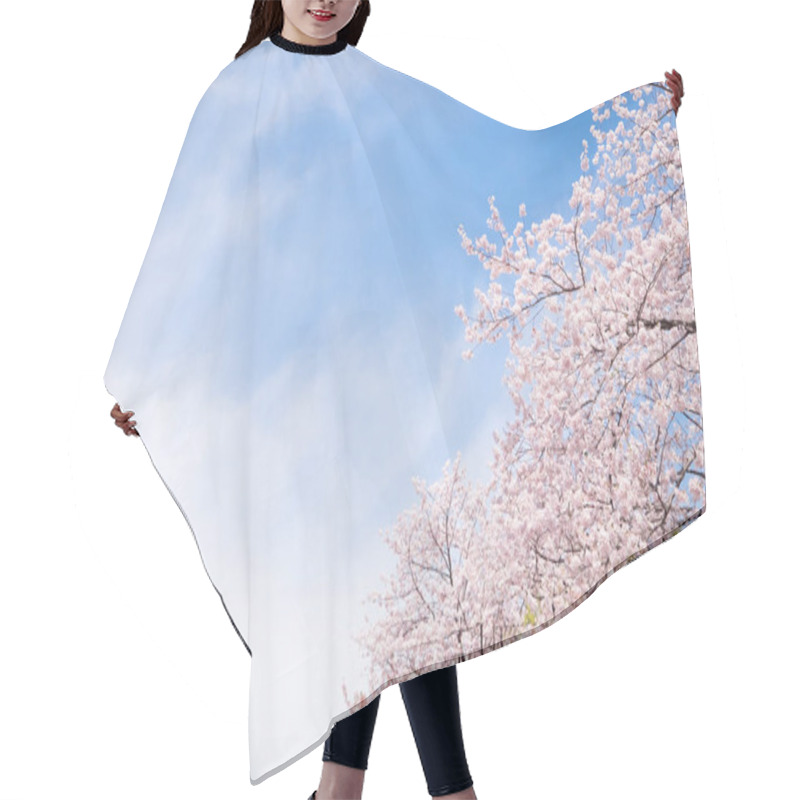 Personality  Beautiful Bright   Cherry Blossom In Japan Hair Cutting Cape