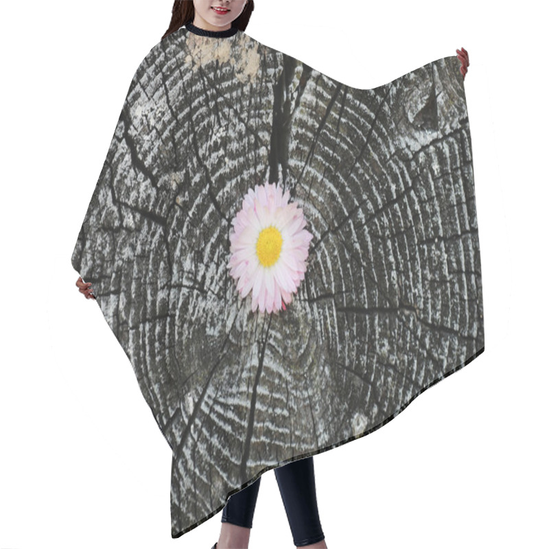 Personality  Cut Log Butt Circles Hair Cutting Cape