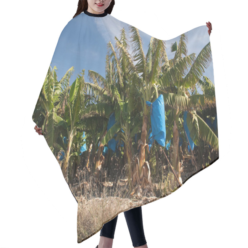 Personality  Tropical Bananas Hair Cutting Cape