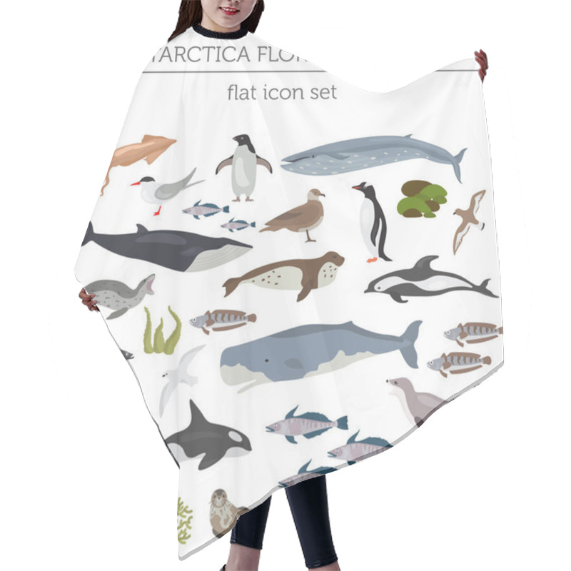 Personality  Antarctic, Antarctica,  Flora And Fauna Map, Flat Elements. Anim Hair Cutting Cape