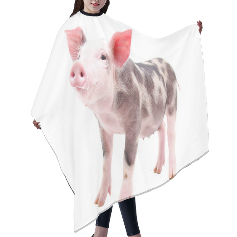 Personality  Funny Little Pig Hair Cutting Cape