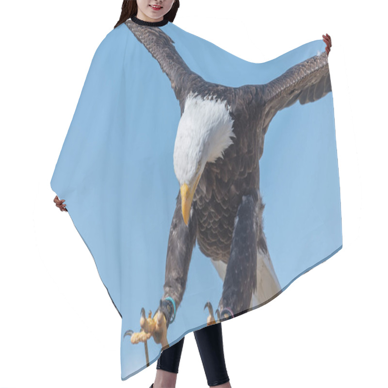 Personality  Bald Eagle (haliaeetus Leucophalus) Hair Cutting Cape