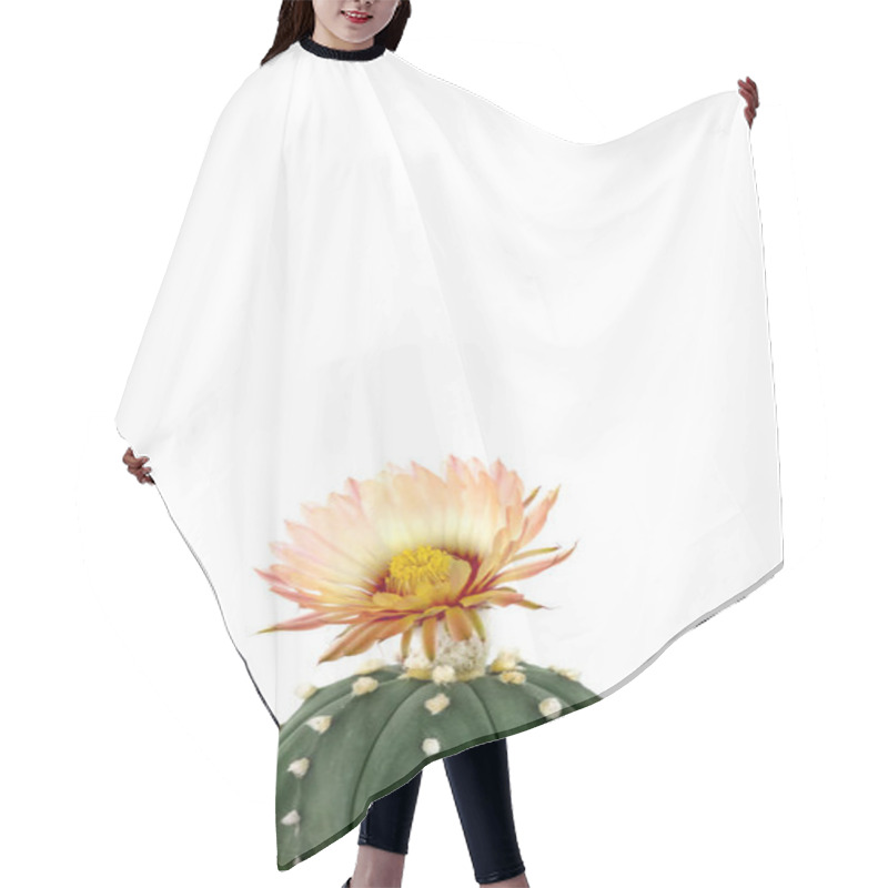 Personality  Yellow Cactus Flower Blooming Hair Cutting Cape