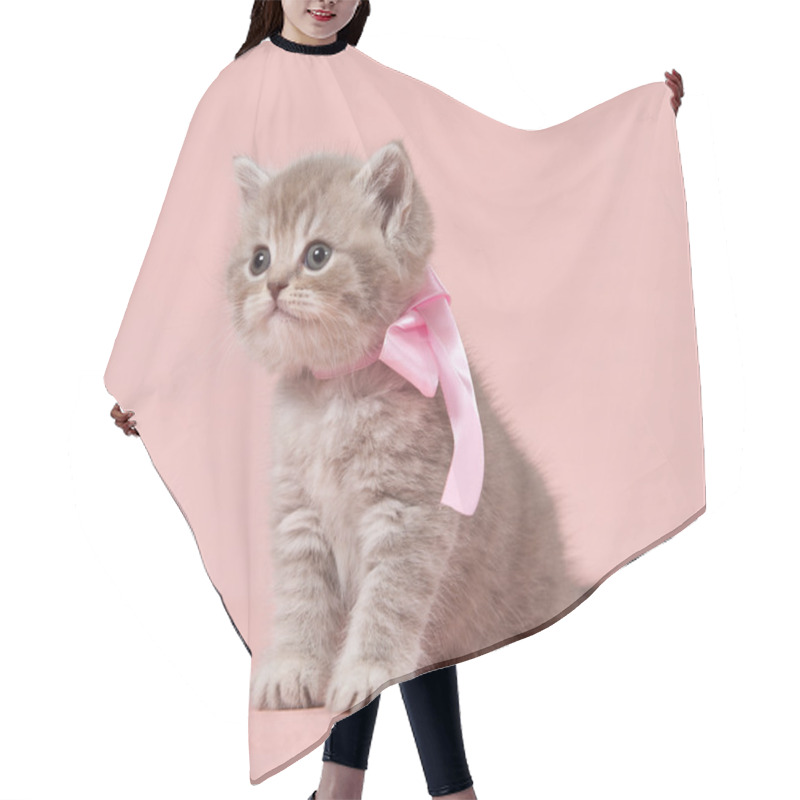 Personality  British Kitten Hair Cutting Cape