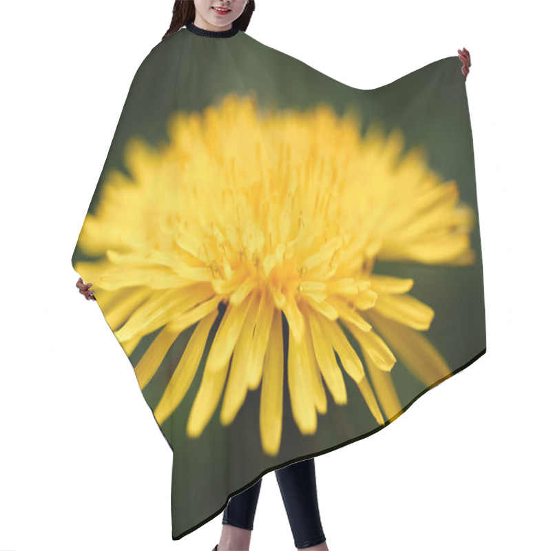 Personality  Yellow Dandelion Flower Hair Cutting Cape