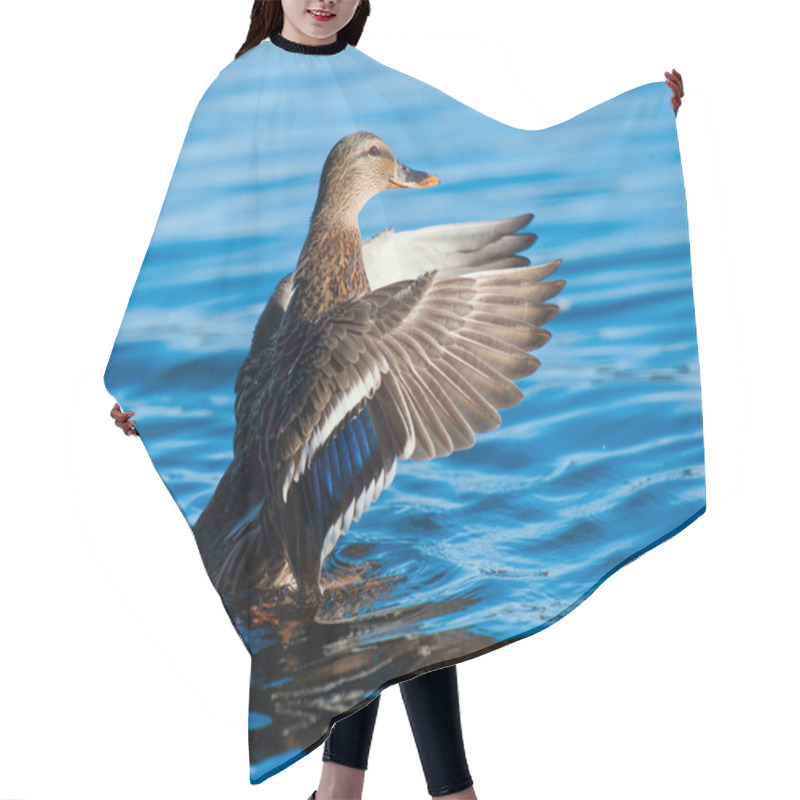 Personality  Mallard Duck Close-Up Hair Cutting Cape